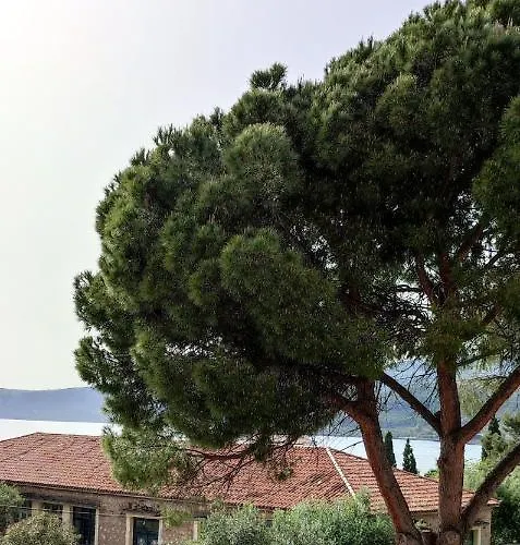 Skardamoula's N * Kardamyli