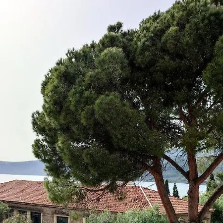 Skardamoula's N * Kardamyli