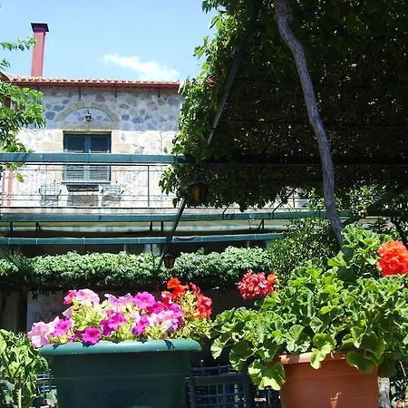 Διαμέρισμα ο κήπος της σκαρδαμούλας Καρδαμύλη